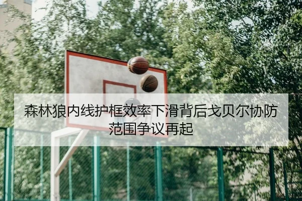 森林狼内线护框效率下滑背后戈贝尔协防范围争议再起